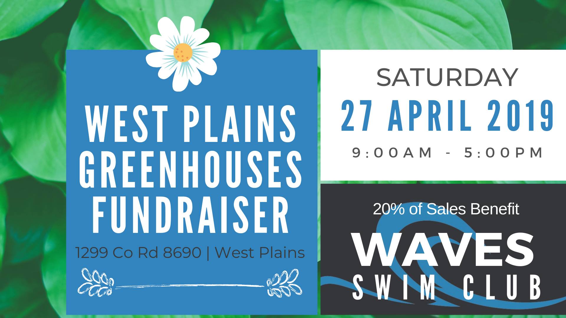 56247903_2035915913123678_4122181088099434496_o