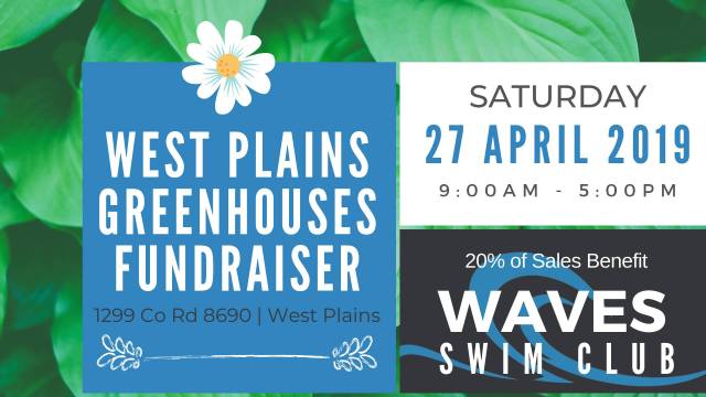 56247903_2035915913123678_4122181088099434496_o